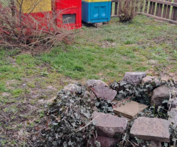 ROZVOJOVÝ TÍM V AKCII / Skrášlenie náučného chodníka - foto