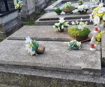 ROZVOJOVÝ TÍM V AKCII / Pomoc pri upratovaní obce po veternej smršti 8.7.2025 - foto