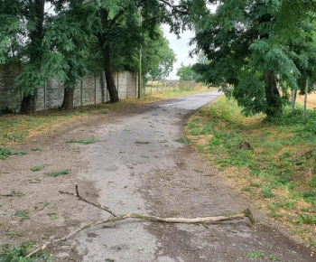 ROZVOJOVÝ TÍM V AKCII / Pomoc pri upratovaní obce po veternej smršti 8.7.2025 - foto