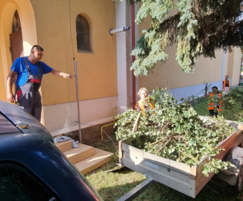 ROZVOJOVÝ TÍM V AKCII / Spoločne za krajšie prostredie - foto