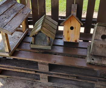 ROZVOJOVÝ TÍM V AKCII / Renovácia vtáčich búdok - foto