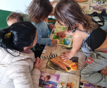 ROZVOJOVÝ TÍM V AKCII / Montessori s drevennými skladačkami - zvieratká.. - foto