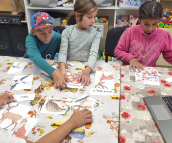 ROZVOJOVÝ TÍM V AKCII / Spoznávame jeseň a zvieratká v jeseni. - foto