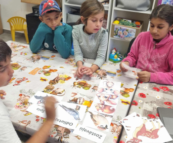 ROZVOJOVÝ TÍM V AKCII / Spoznávame jeseň a zvieratká v jeseni. - foto