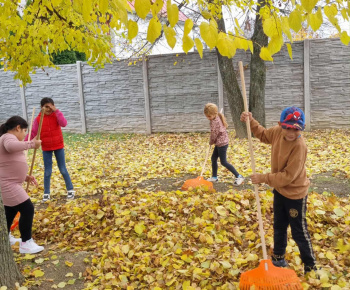 ROZVOJOVÝ TÍM V AKCII / Jesenné práce. - foto