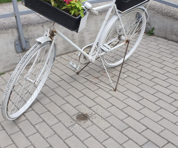 ROZVOJOVÝ TÍM V AKCII / Vysádzanie kvetín. - foto