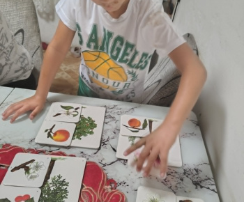 ROZVOJOVÝ TÍM V AKCII / Aké ovocné stromy poznáme  - foto