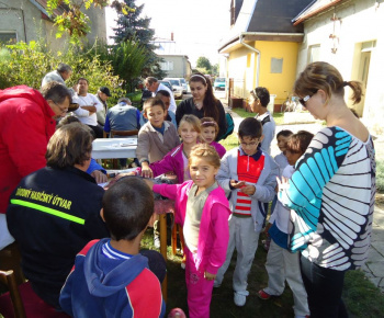 Vystava drobnych zvierat 2012