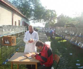 Výstava drobných zvierat 2009