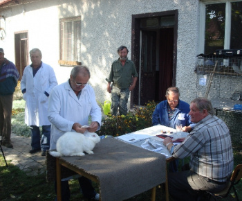 Výstava drobných zvierat 2009