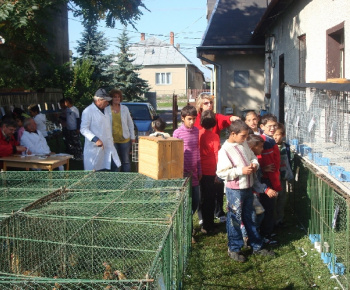 Výstava drobných zvierat 2009