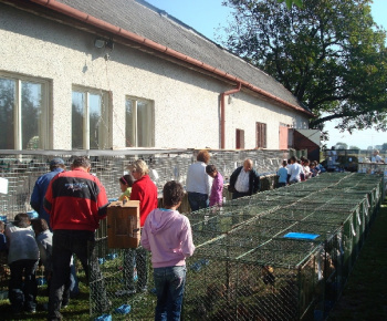 Výstava drobných zvierat 2009