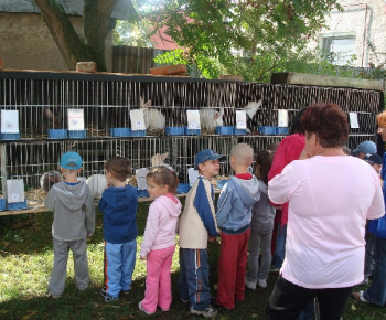 Výstava drobných zvierat 2009