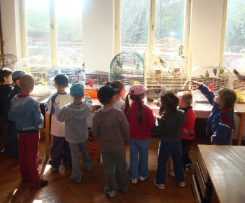 Výstava drobných zvierat 2009