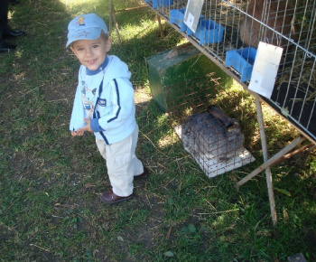 Výstava drobných zvierat 2009