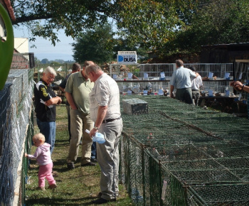 Výstava drobných zvierat 2009