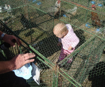 Výstava drobných zvierat 2009