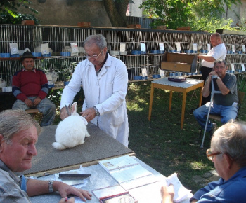 Výstava drobných zvierat 2009