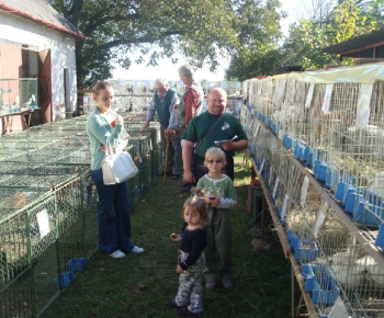 Vystava drobných zvierat 2011