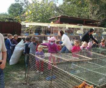 Vystava drobných zvierat 2011