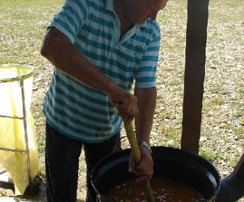 Kolonica