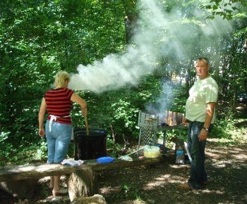 Jovsa 2010