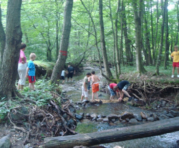 Jovsa 2010
