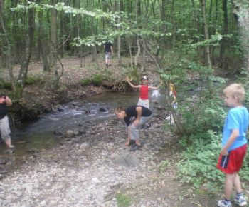 Jovsa 2010