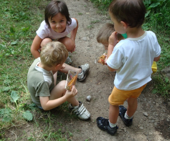 Jovsa 2010
