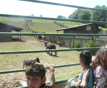 Návšteva ZOO