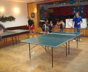 Stolný tenis 2010