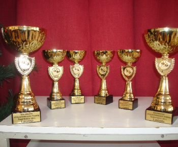 Stolnotenisový turnaj 2011