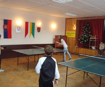 Stolnotenisový turnaj 2011