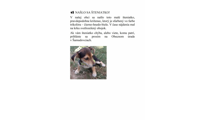 Našlo sa šteniatko