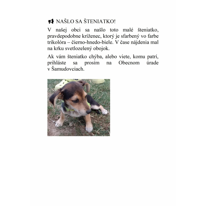 Našlo sa šteniatko