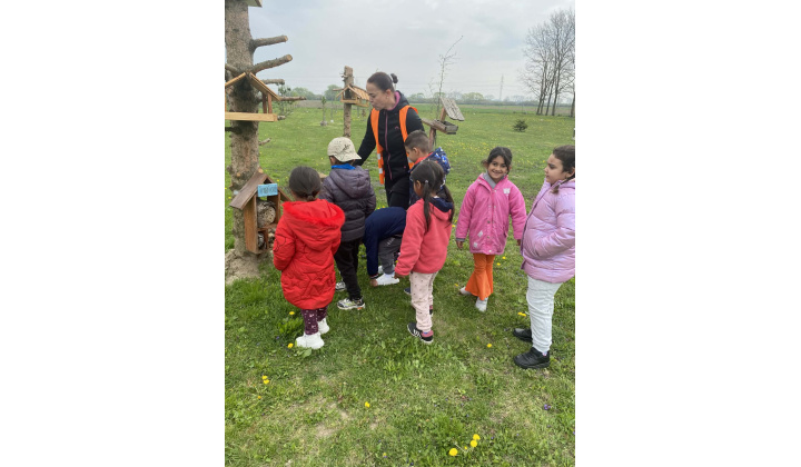 Prechádzka v prírode